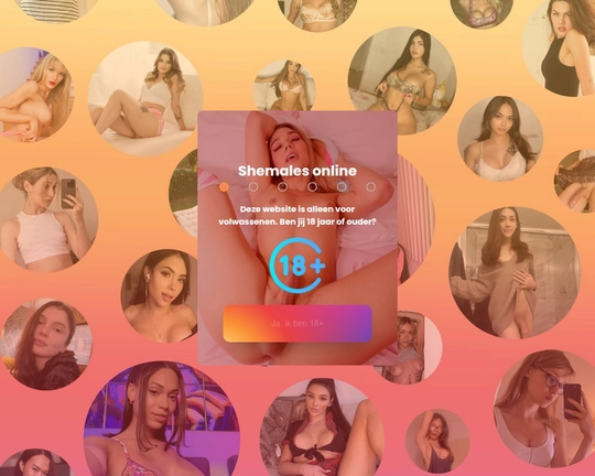 ShemaleFlirters Logo