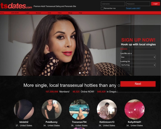 TsDates Logo